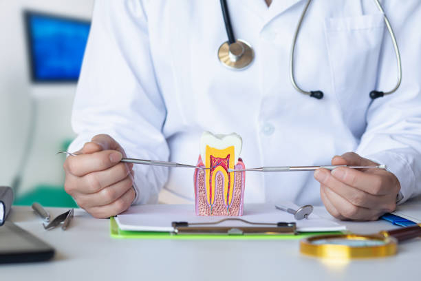 Best Broken or Cracked Tooth Emergency Dentist in Crete, IL